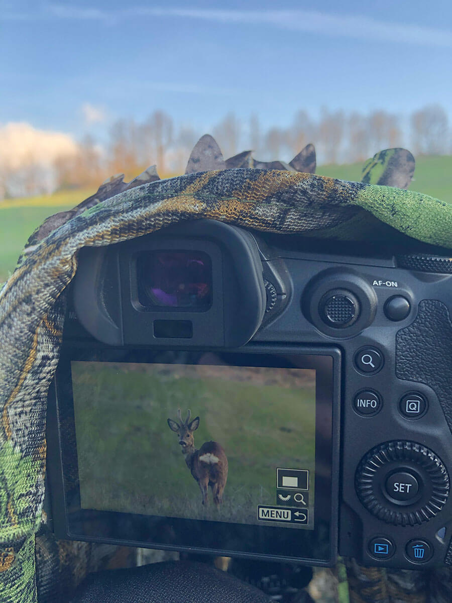 appostamento per fotografare gli animali selvatici