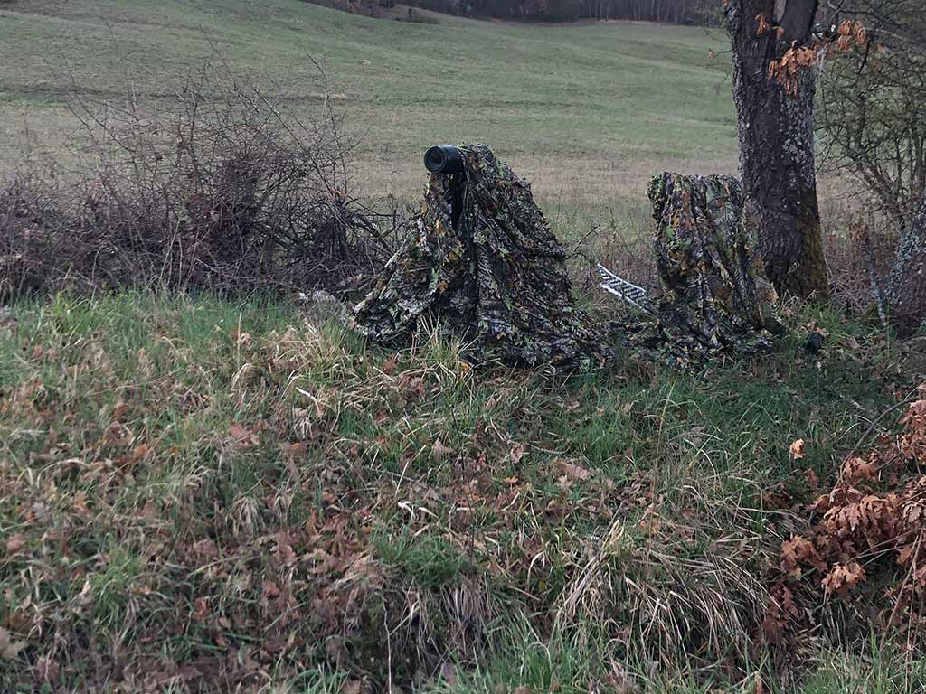 mimetismo wildlifephotography