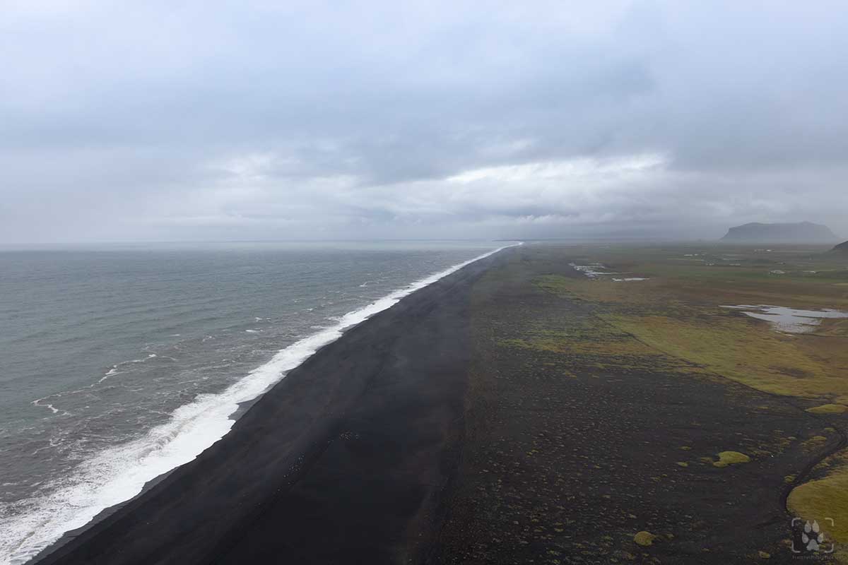 Spiaggia nera Vik