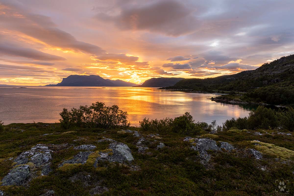Paesaggio Norvegia