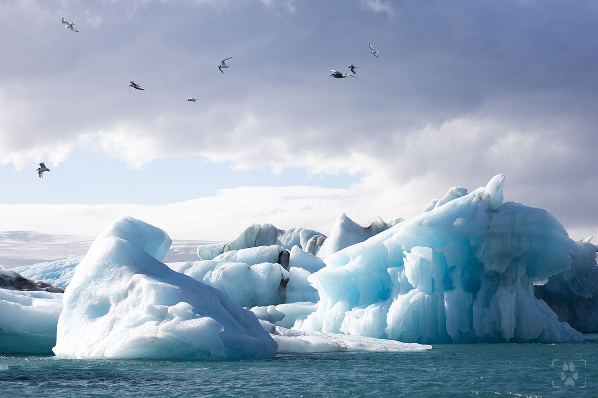 viaggio fotografico - islanda