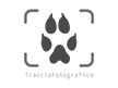 logo bianco tracciafotografica