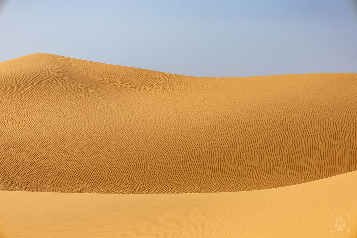 dettaglio dune del deserto del Sahara in Marocco