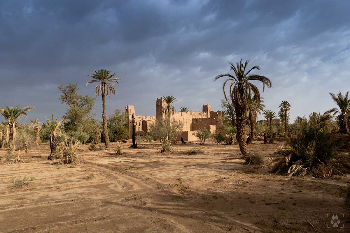 Casba Marocco Aït Benhaddou