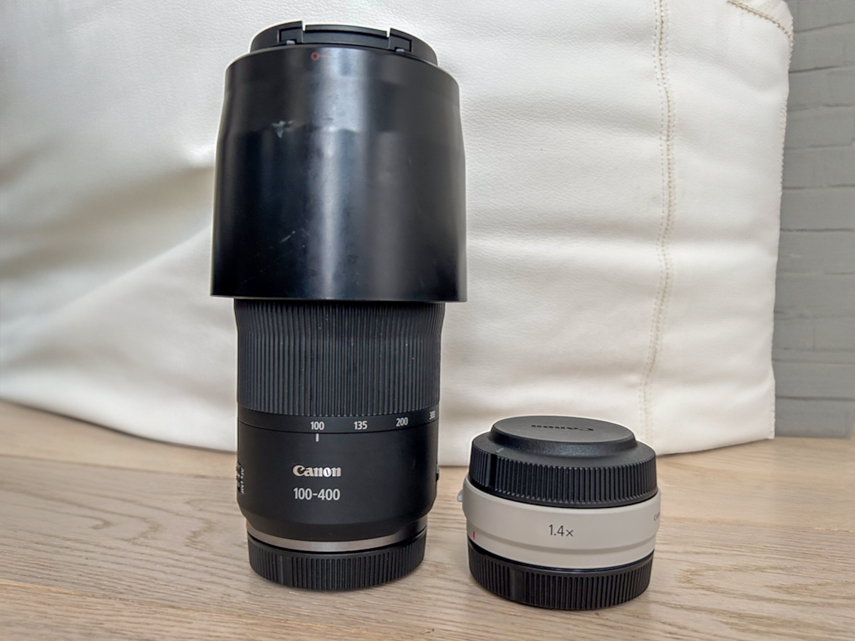 Extender per obiettivi di fotografia di animali