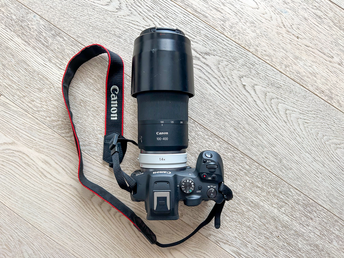 Obiettivi per fotografare animali selvatici - Apsc e 100-400
