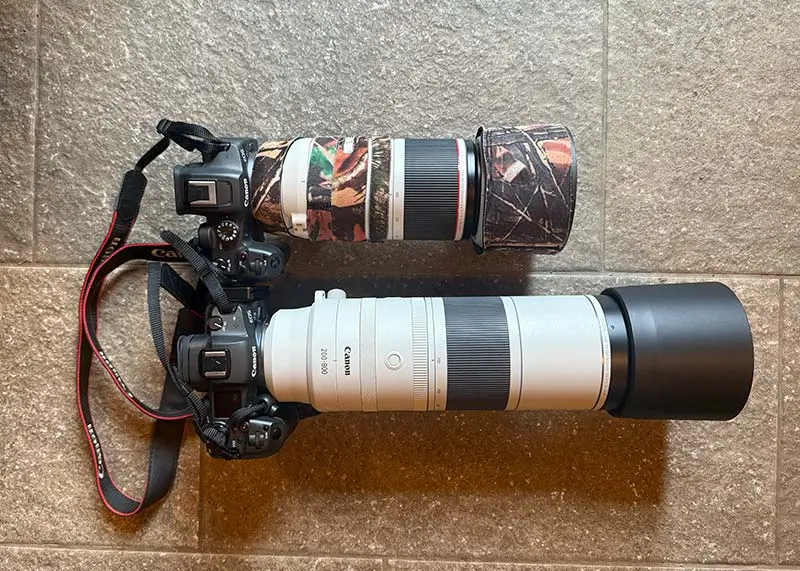 Attrezzatura per fotografia naturalistica rf 100-500 rf 200-800