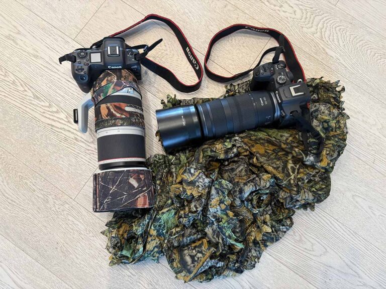 obiettivo per fotografare animali selvatici