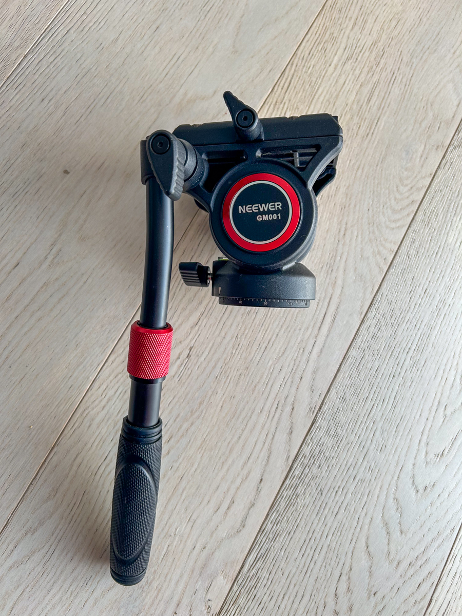 testa video cavalletto