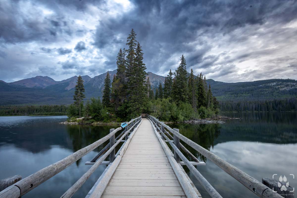 acquila americana banff
