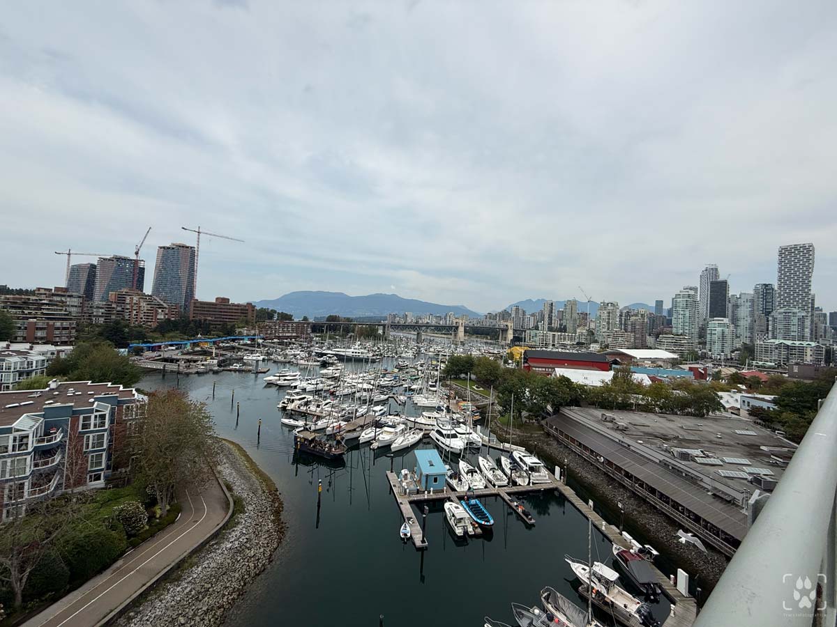 Vancouver tappa finale del viaggio fotografico in Canada
